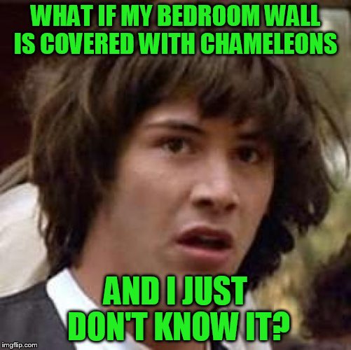Conspiracy Keanu Meme | WHAT IF MY BEDROOM WALL IS COVERED WITH CHAMELEONS AND I JUST DON'T KNOW IT? | image tagged in memes,conspiracy keanu | made w/ Imgflip meme maker