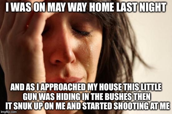 First World Problems | I WAS ON MAY WAY HOME LAST NIGHT; AND AS I APPROACHED MY HOUSE THIS LITTLE GUN WAS HIDING IN THE BUSHES THEN  IT SNUK UP ON ME AND STARTED SHOOTING AT ME | image tagged in memes,first world problems | made w/ Imgflip meme maker