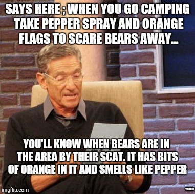 Maury Lie Detector | SAYS HERE ; WHEN YOU GO CAMPING TAKE PEPPER SPRAY AND ORANGE FLAGS TO SCARE BEARS AWAY... YOU'LL KNOW WHEN BEARS ARE IN THE AREA BY THEIR SCAT. IT HAS BITS OF ORANGE IN IT AND SMELLS LIKE PEPPER; YAHBLE | image tagged in memes,maury lie detector | made w/ Imgflip meme maker