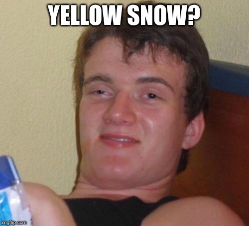 10 Guy Meme | YELLOW SNOW? | image tagged in memes,10 guy | made w/ Imgflip meme maker