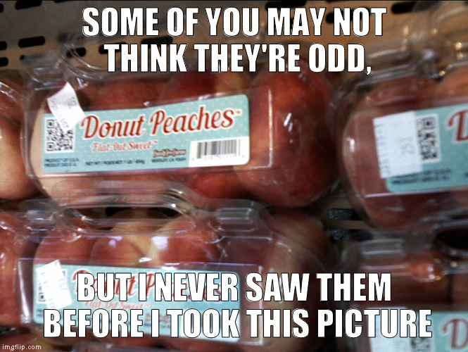 SOME OF YOU MAY NOT THINK THEY'RE ODD, BUT I NEVER SAW THEM BEFORE I TOOK THIS PICTURE | made w/ Imgflip meme maker
