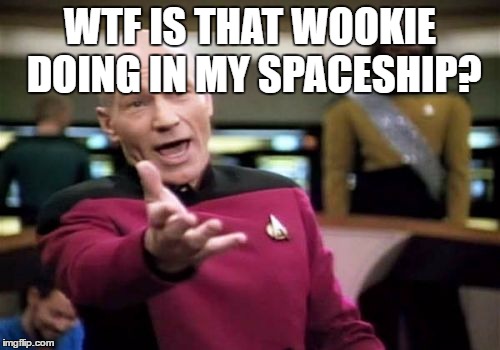Picard Wtf Meme | WTF IS THAT WOOKIE DOING IN MY SPACESHIP? | image tagged in memes,picard wtf | made w/ Imgflip meme maker