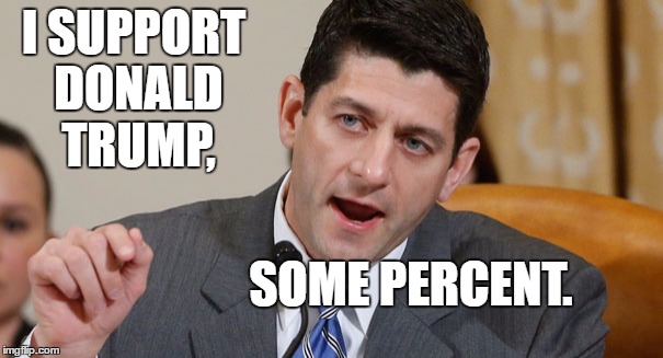 paul ryan table tennis | I SUPPORT DONALD TRUMP, SOME PERCENT. | image tagged in paul ryan table tennis | made w/ Imgflip meme maker