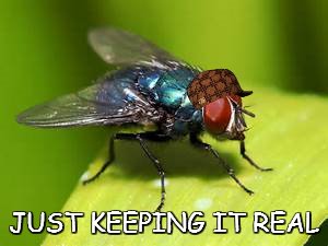 fly | JUST KEEPING IT REAL | image tagged in fly | made w/ Imgflip meme maker