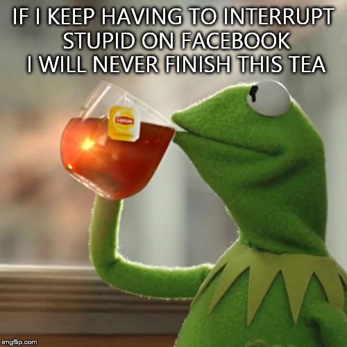 But That's None Of My Business | IF I KEEP HAVING TO INTERRUPT STUPID ON FACEBOOK I WILL NEVER FINISH THIS TEA | image tagged in memes,but thats none of my business,kermit the frog | made w/ Imgflip meme maker