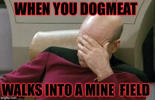 Captain Picard Facepalm | WHEN YOU DOGMEAT; WALKS INTO A MINE  FIELD | image tagged in memes,captain picard facepalm | made w/ Imgflip meme maker