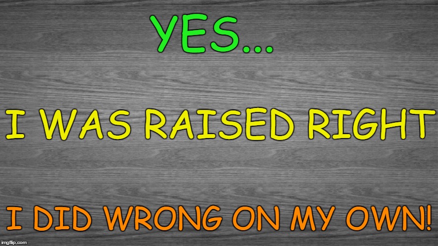 my parents raised me right | YES... I WAS RAISED RIGHT; I DID WRONG ON MY OWN! | image tagged in raised right,went wrong,hung a left | made w/ Imgflip meme maker