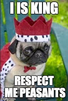 King pugsly | I IS KING; RESPECT ME PEASANTS | image tagged in king pugsly | made w/ Imgflip meme maker