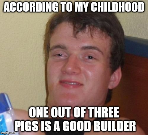 He'll huff and he'll puff and he'll blow common sense down! | ACCORDING TO MY CHILDHOOD; ONE OUT OF THREE PIGS IS A GOOD BUILDER | image tagged in memes,10 guy | made w/ Imgflip meme maker