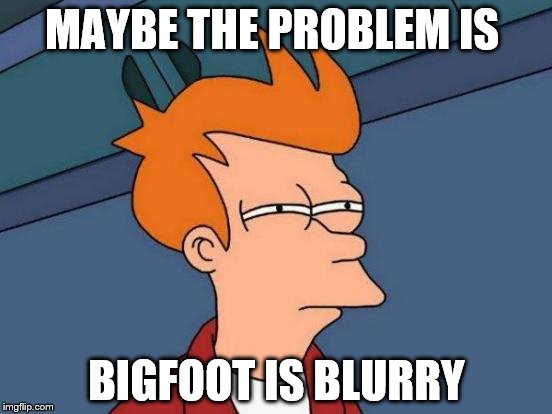 Mitch Hedberg Greatness, brought to meme form | MAYBE THE PROBLEM IS; BIGFOOT IS BLURRY | image tagged in memes,futurama fry | made w/ Imgflip meme maker