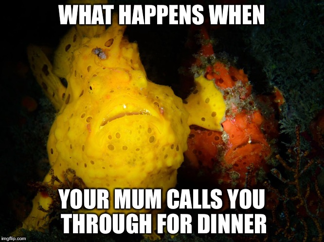 WHAT HAPPENS WHEN; YOUR MUM CALLS YOU THROUGH FOR DINNER | image tagged in kids,dinnertime | made w/ Imgflip meme maker