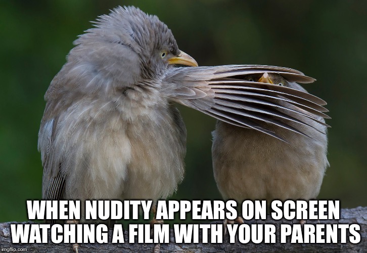 Nothing to see here | WHEN NUDITY APPEARS ON SCREEN WATCHING A FILM WITH YOUR PARENTS | image tagged in kids,parenting | made w/ Imgflip meme maker