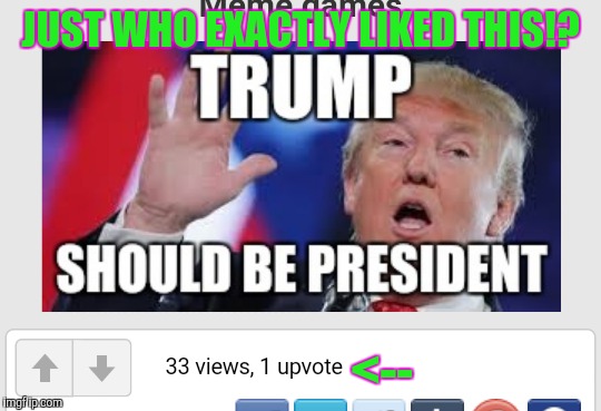 Trump supporter | JUST WHO EXACTLY LIKED THIS!? <-- | image tagged in donald trump | made w/ Imgflip meme maker