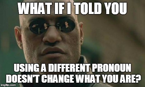 Matrix Morpheus Meme | WHAT IF I TOLD YOU USING A DIFFERENT PRONOUN DOESN'T CHANGE WHAT YOU ARE? | image tagged in memes,matrix morpheus | made w/ Imgflip meme maker