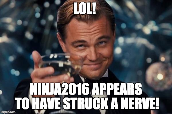 Leonardo Dicaprio Cheers Meme | LOL! NINJA2016 APPEARS TO HAVE STRUCK A NERVE! | image tagged in memes,leonardo dicaprio cheers | made w/ Imgflip meme maker