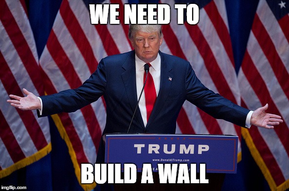 Donald Trump | WE NEED TO; BUILD A WALL | image tagged in donald trump | made w/ Imgflip meme maker