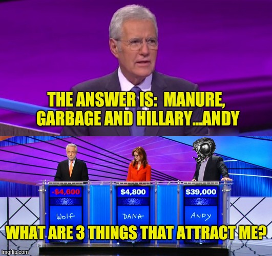 But not just any manure...it's gotta be B.S. | THE ANSWER IS:  MANURE, GARBAGE AND HILLARY...ANDY; WHAT ARE 3 THINGS THAT ATTRACT ME? | image tagged in jeopardy,fly,hillary clinton | made w/ Imgflip meme maker