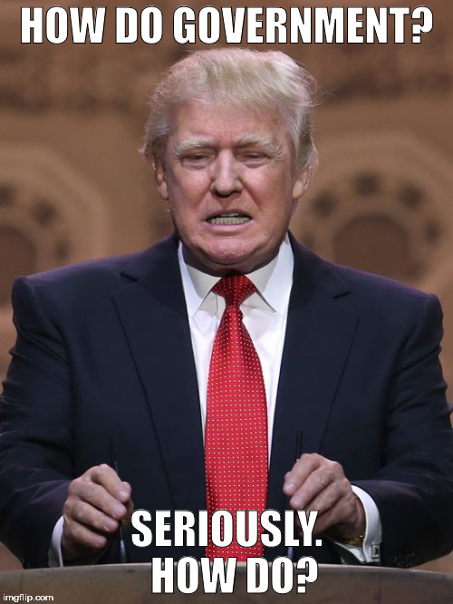 Donald Trump | HOW DO GOVERNMENT? SERIOUSLY.  HOW DO? | image tagged in donald trump | made w/ Imgflip meme maker