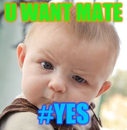 Skeptical Baby | U WANT MATE; #YES | image tagged in memes,skeptical baby | made w/ Imgflip meme maker