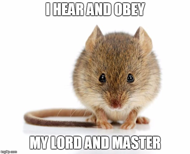 I HEAR AND OBEY MY LORD AND MASTER | made w/ Imgflip meme maker