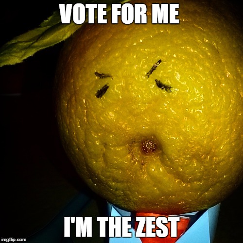 VOTE FOR ME; I'M THE ZEST | image tagged in donald trump,drumpf | made w/ Imgflip meme maker