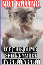 Wet Cat | NOT FALLING; FOR THIS DUMB SHIT ANYMORE 
DARNELLPARNELLI | image tagged in wet cat | made w/ Imgflip meme maker