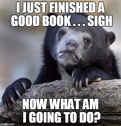 Confession Bear Meme | I JUST FINISHED A GOOD BOOK . . . SIGH; NOW WHAT AM I GOING TO DO? | image tagged in memes,confession bear | made w/ Imgflip meme maker