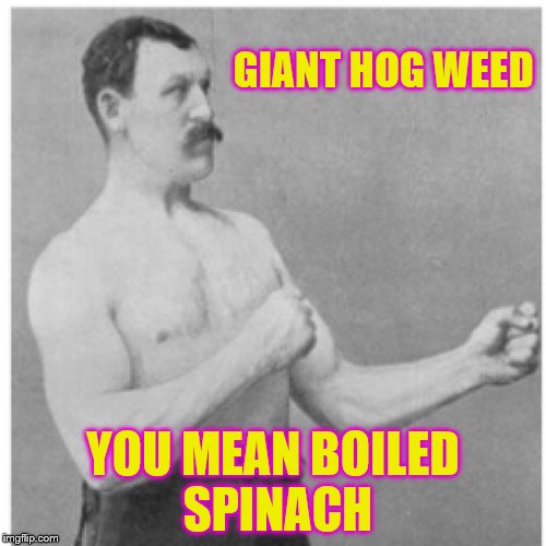 Overly Manly Man | GIANT HOG WEED; YOU MEAN BOILED SPINACH | image tagged in memes,overly manly man | made w/ Imgflip meme maker