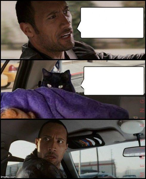 The Rock Driving Evil Cat Blank Meme Template