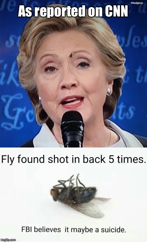 Dead flies everywhere  | As reported on CNN | image tagged in memes,funny,hillary,cnn | made w/ Imgflip meme maker