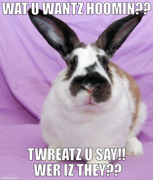 Wat? | WAT U WANTZ HOOMIN?? TWREATZ U SAY!! WER IZ THEY?? | image tagged in memes | made w/ Imgflip meme maker