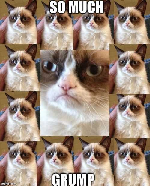 Grumpy Cat | SO MUCH; GRUMP | image tagged in memes,grumpy cat | made w/ Imgflip meme maker