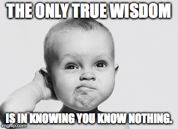 TRUE WISDOM | THE ONLY TRUE WISDOM; IS IN KNOWING YOU KNOW NOTHING. | image tagged in baby | made w/ Imgflip meme maker