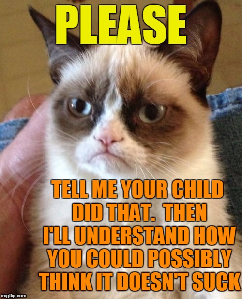 Grumpy Cat Meme | PLEASE TELL ME YOUR CHILD DID THAT.  THEN I'LL UNDERSTAND HOW YOU COULD POSSIBLY THINK IT DOESN'T SUCK | image tagged in memes,grumpy cat | made w/ Imgflip meme maker