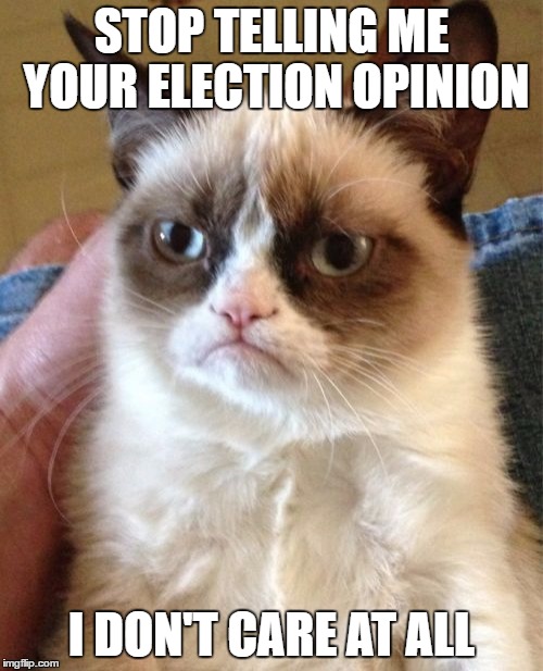 Grumpy Cat | STOP TELLING ME YOUR ELECTION OPINION; I DON'T CARE AT ALL | image tagged in memes,grumpy cat | made w/ Imgflip meme maker