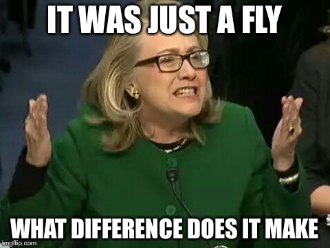 IT WAS JUST A FLY WHAT DIFFERENCE DOES IT MAKE | made w/ Imgflip meme maker