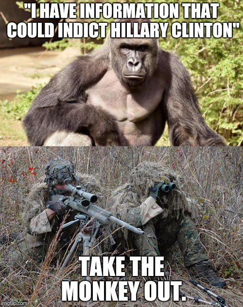 "I HAVE INFORMATION THAT COULD INDICT HILLARY CLINTON"; TAKE THE MONKEY OUT. | image tagged in memes,harambe,sniper,hillary clinton | made w/ Imgflip meme maker