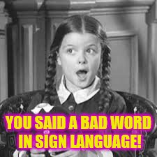 YOU SAID A BAD WORD IN SIGN LANGUAGE! | made w/ Imgflip meme maker