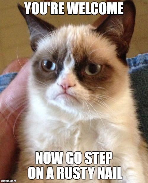 Grumpy Cat Meme | YOU'RE WELCOME NOW GO STEP ON A RUSTY NAIL | image tagged in memes,grumpy cat | made w/ Imgflip meme maker