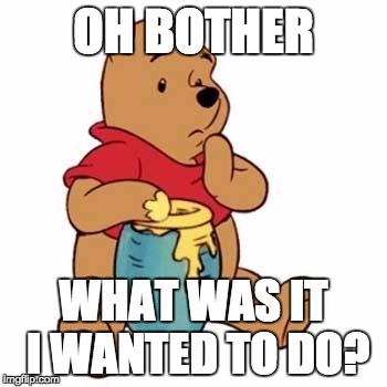 Winnie the Pooh Oh Bother | OH BOTHER; WHAT WAS IT I WANTED TO DO? | image tagged in winnie the pooh oh bother | made w/ Imgflip meme maker