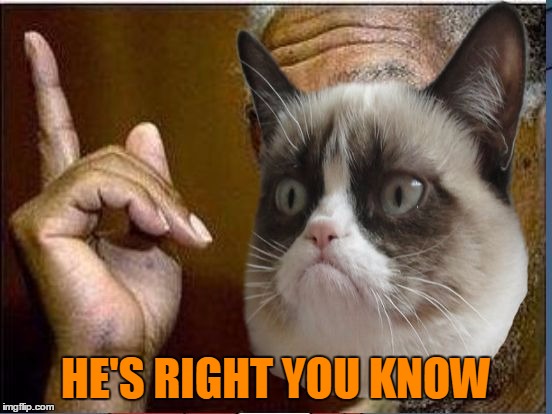 Grumpy Cat He's Right You Know | HE'S RIGHT YOU KNOW | image tagged in grumpy cat he's right you know | made w/ Imgflip meme maker