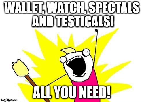 X All The Y Meme | WALLET, WATCH, SPECTALS AND TESTICALS! ALL YOU NEED! | image tagged in memes,x all the y | made w/ Imgflip meme maker
