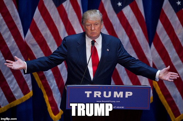 Trump Bruh | TRUMP | image tagged in trump bruh | made w/ Imgflip meme maker