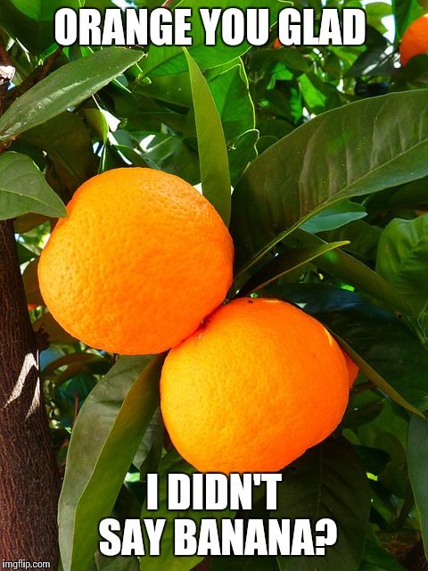 ORANGE YOU GLAD; I DIDN'T SAY BANANA? | image tagged in orange you glad i didn't say banana | made w/ Imgflip meme maker
