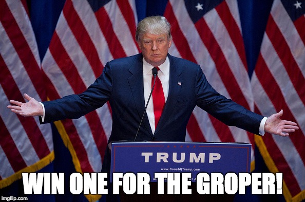 Donald Trump | WIN ONE FOR THE GROPER! | image tagged in donald trump | made w/ Imgflip meme maker