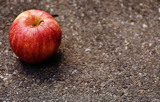 An apple a day... Blank Meme Template