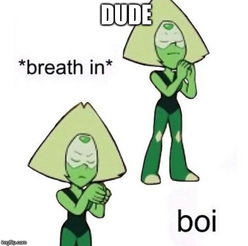 Steven u boi  | DUDE | image tagged in steven u boi | made w/ Imgflip meme maker