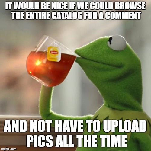 But That's None Of My Business Meme | IT WOULD BE NICE IF WE COULD BROWSE THE ENTIRE CATALOG FOR A COMMENT AND NOT HAVE TO UPLOAD PICS ALL THE TIME | image tagged in memes,but thats none of my business,kermit the frog | made w/ Imgflip meme maker