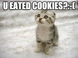 Sad Cat | U EATED COOKIES?:-( | image tagged in memes,sad cat | made w/ Imgflip meme maker