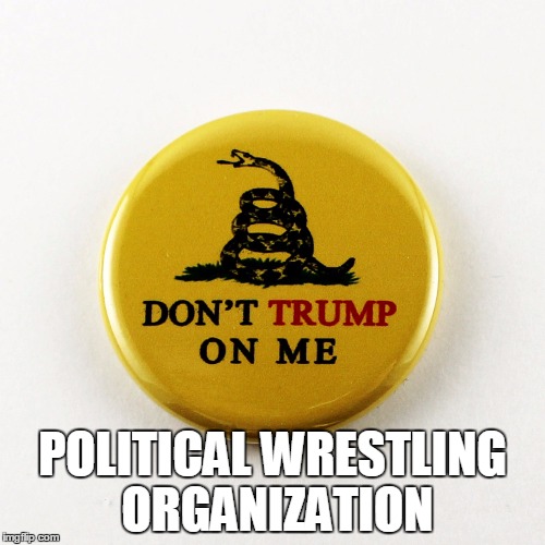 POLITICAL WRESTLING ORGANIZATION | image tagged in pwo political wrestling organization | made w/ Imgflip meme maker